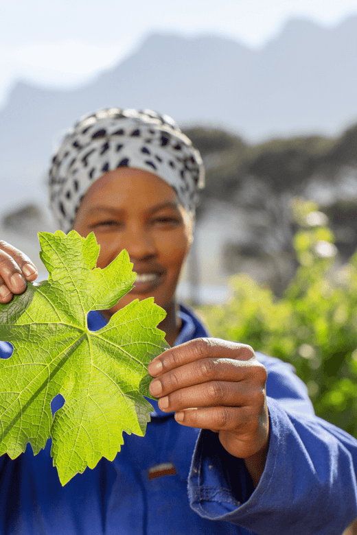 Wine Farm Tours - Cancellation and Refund Policy
