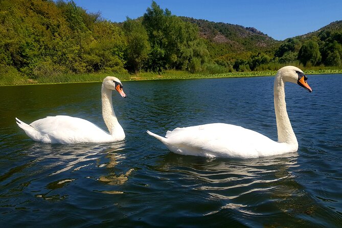Wine & Food Pairing - Skadar Lake & Lovcen National Park - Itinerary Highlights