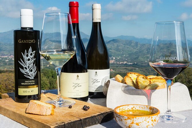 Wine & Food Tasting on Etnas Winery Private Tour - Pricing and Cancellation
