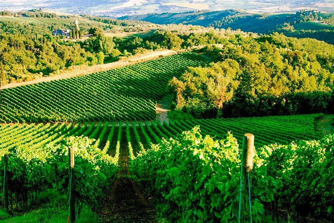 Wine & Food Tour in Tuk Tuk - Pickup Information
