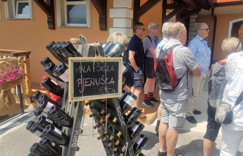 Wine & Food Tour of PlešIvica Near Zagreb - Notable Wine Varieties