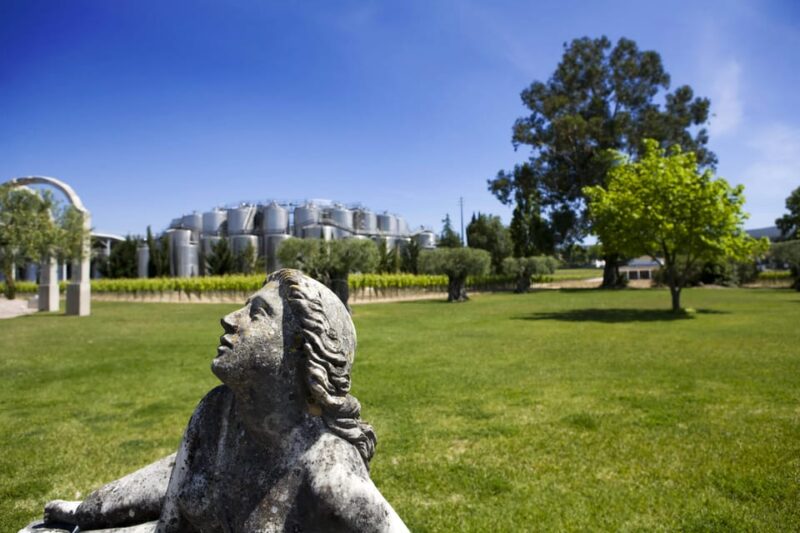 Wine & Gastronomy: Winery & Fish Market Tour From Lisbon - Itinerary Highlights
