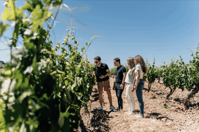 Wine & Gastronomy: Winery & Fish Market Tour From Lisbon - Customer Rating