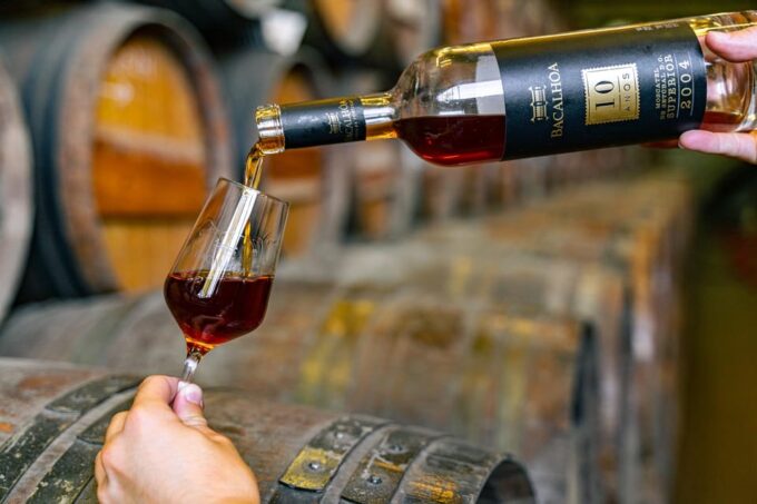 Wine & Gastronomy: Winery & Fish Market Tour From Lisbon - Frequently Asked Questions