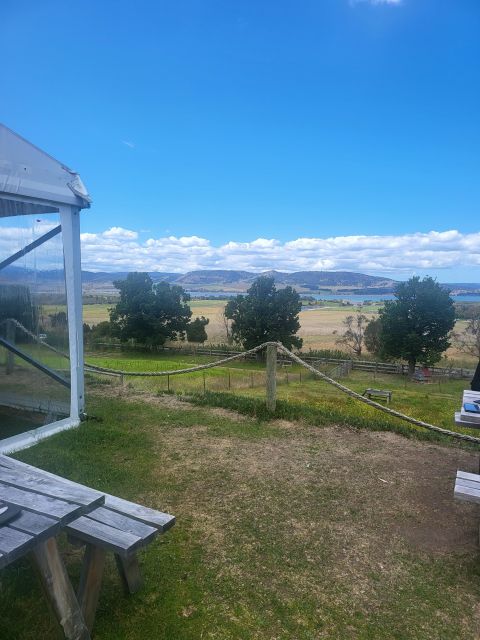 Wine, Gin & Whisky Tour - Vineyard Tastings