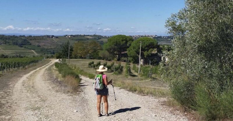 Wine Hiking: Sip and Trek - Key Points