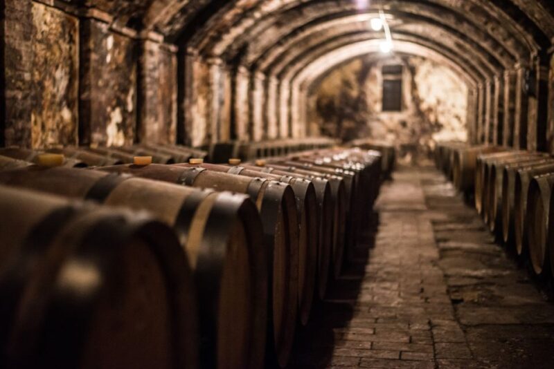 Wine Hiking: Sip and Trek - Participant Information