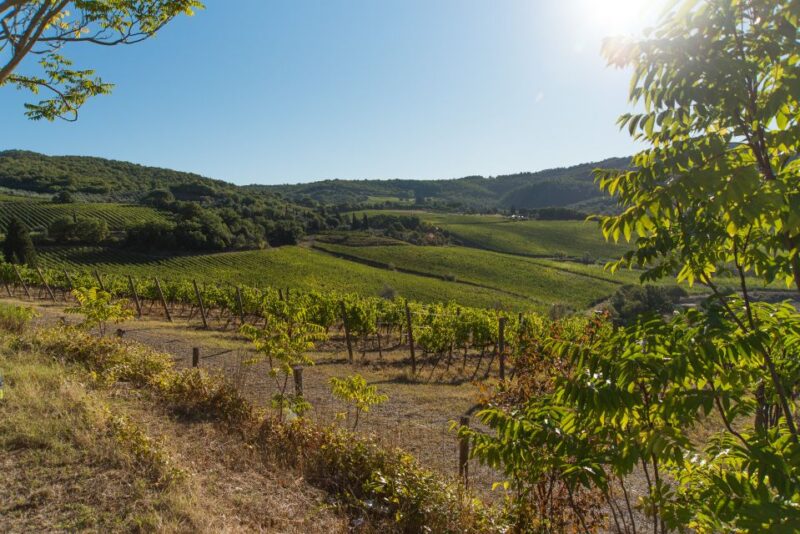 Wine Hiking: Sip and Trek - What to Bring