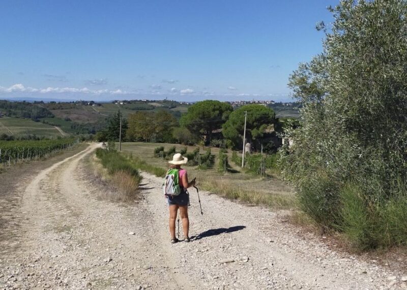 Wine Hiking: Sip and Trek - Cancellation and Payment Policy