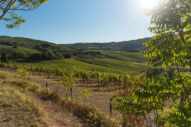 Wine Hiking Sip & Trek - Scenic Hiking Trails