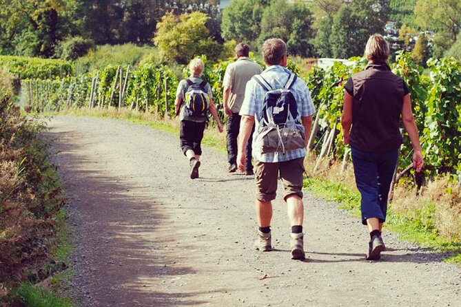 Wine Hiking Sip & Trek - Health and Safety