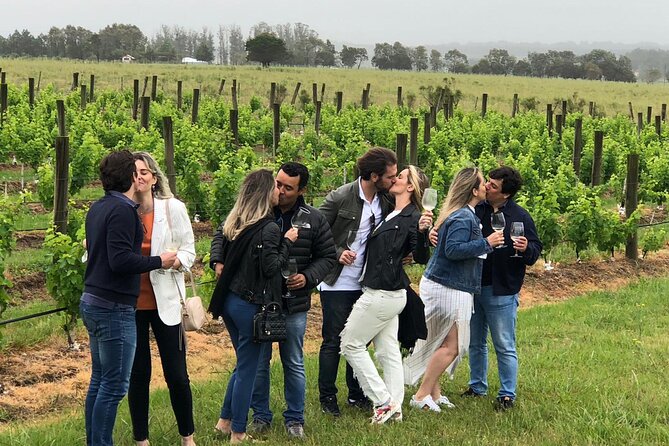 Wine Lovers - Enjoy a Gourmet Lunch in the Countryside! - Captivating Sightseeing Journey