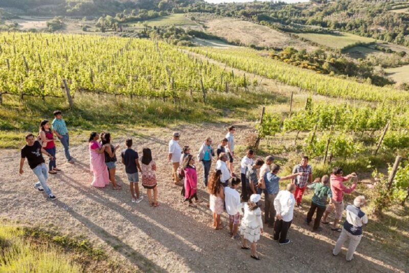 Wine Lovers Experience in Montepulciano: Half Day - Winery Visits