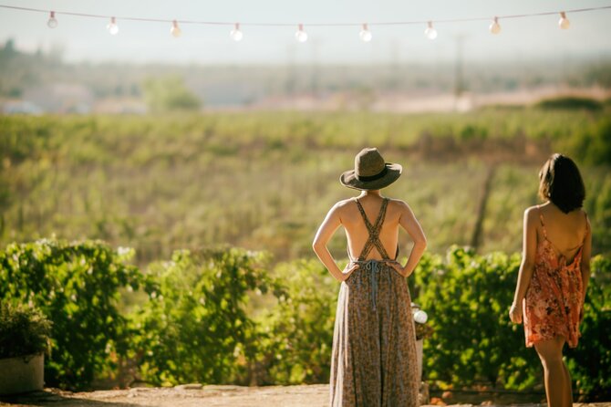 Wine Lovers - Punta Wine Experience - Intimate Group Setting