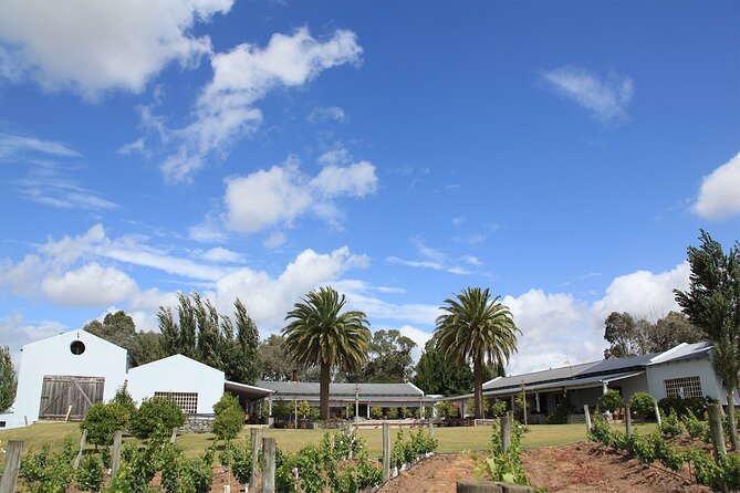 Wine Lovers - Punta Wine Experience - Customer Feedback Highlights