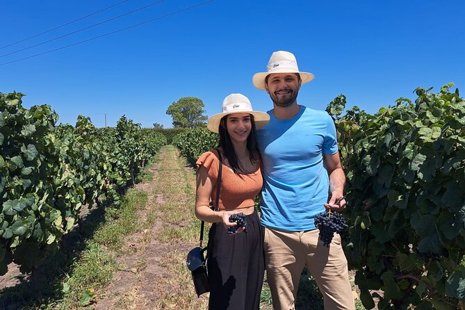 Wine Lovers - Tannat Wine Experience From Montevideo - Praise From Guests