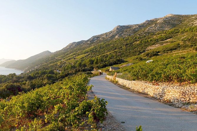 Wine Lovers Tour of Peljesac Peninsula - Exploring Stons History