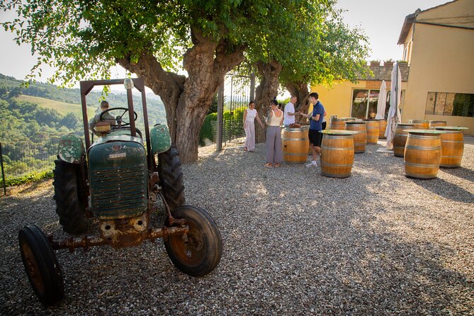 Wine Making Experience and Gourmet Dinner at a Boutique Winery in Tuscany - Itinerary and Activity Details