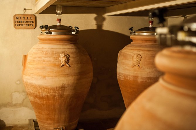 Wine Making Experience and Gourmet Dinner at a Boutique Winery in Tuscany - Customer Feedback and Experiences