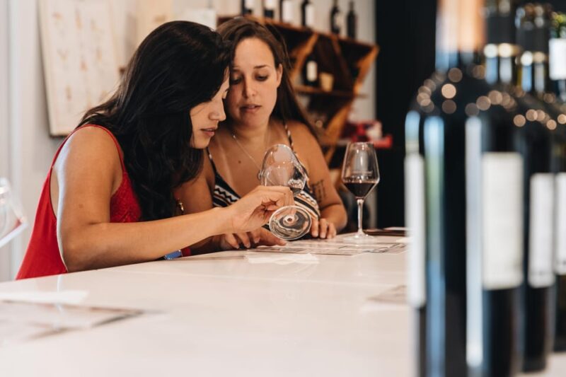 Wine Masterclass & Cheese Tasting Workshop in Bordeaux - Meeting Point and Schedule