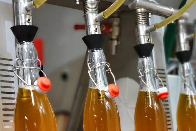Wine & Mead Tasting, Distillery and Brewery Tour With Lunch - Accessibility