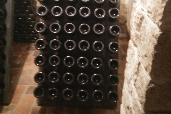 Wine & More Tour , Private Guided Wine Tour From Porec, UMAG ,Istria - Explore Acclaimed Wineries
