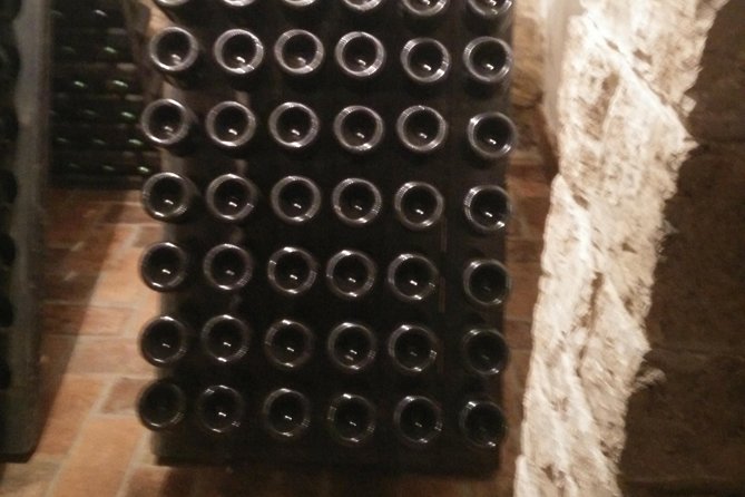 Wine & More Tour , Private Guided Wine Tour From ROVINJ & PULA to Wine Cellars - Tour Details