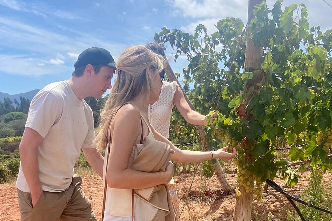 Wine Not? & Cheese Delights - Tailor Made Your Private Daytrip - Locations Visited