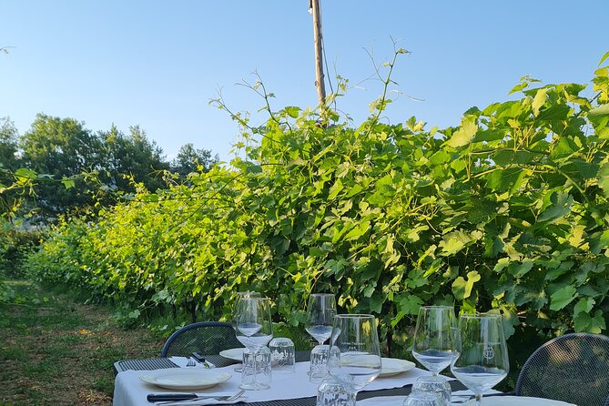 Wine & Oil Tasting Experience - Cheese and Salami Pairing
