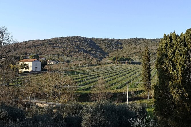 Wine & Oil Tasting Experience - Pickup and Transportation Options