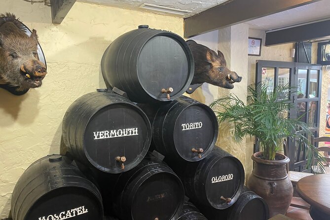 Wine, Olive Oil and Tapas Tasting in Marbella - Experience Overview