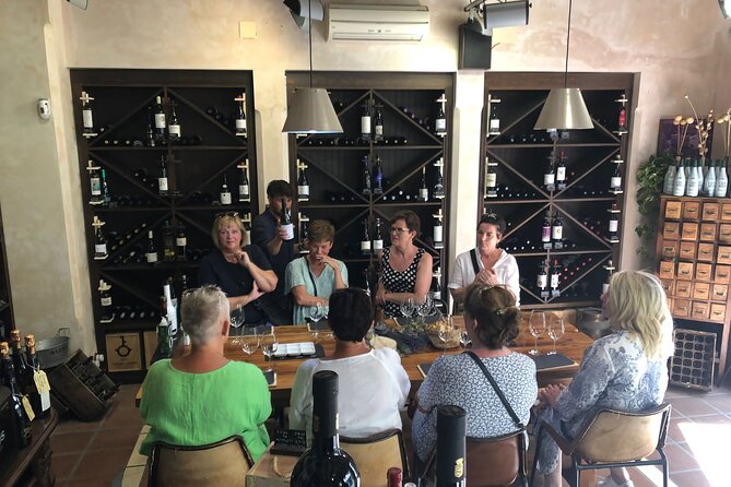 Wine, Olive Oil and Tapas Tasting in Marbella - About the Activity