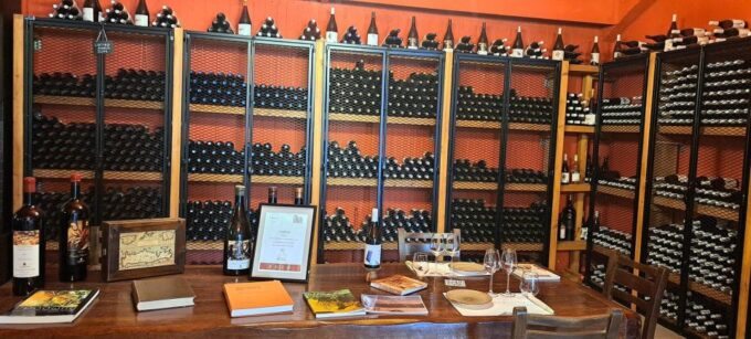 Wine/Olive Oil Tasting and Pottery Work Shop - Small Group - Olive Oil Harvesting and Production