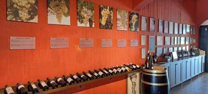 Wine/Olive Oil Tasting and Pottery Work Shop - Small Group - Pottery Demonstration and Souvenir Making