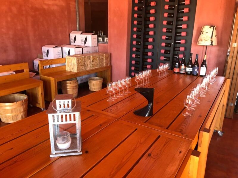 Wine & Olive Oil Tasting in an Organic Farm Laconia, Greece - Sustainable Farming Practices