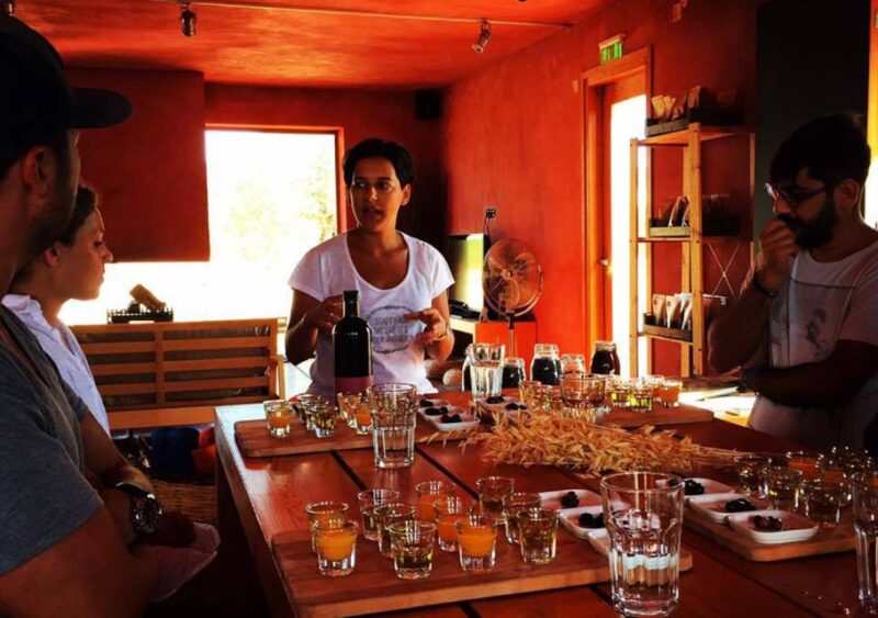 Wine & Olive Oil Tasting in an Organic Farm Laconia, Greece - Olive Oil Tasting and Exploration