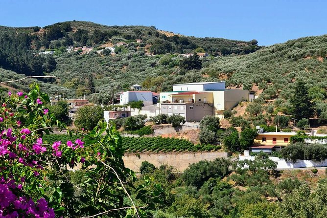 Wine & Olive Oil Tasting One Day Private Tour in Crete - Pickup and Accessibility