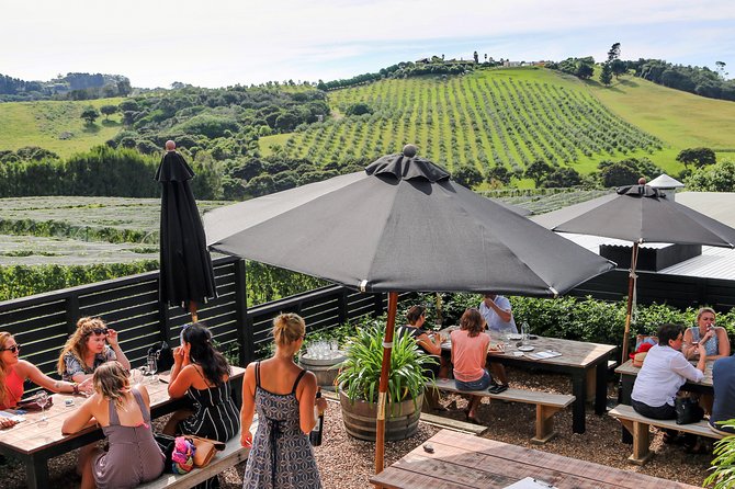 WINE on Waiheke PREMIUM WINE Full Days Scenic and WINE Tasting - Special Offers and Recommendations