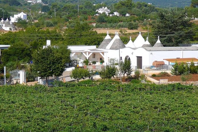Wine Ostuni, Tour of an Apulian Winery With Traditional Lunch or Aperitivo - Cancellation and Refund Policy