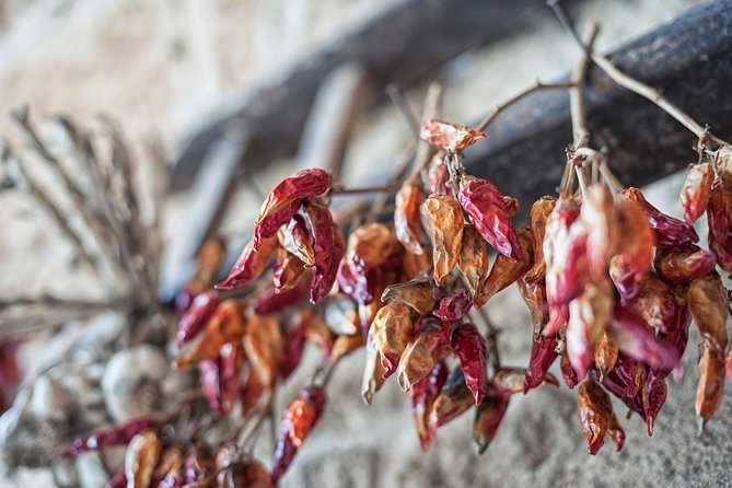 Wine Ostuni, Tour of an Apulian Winery With Traditional Lunch or Aperitivo - Accessibility and Accommodations