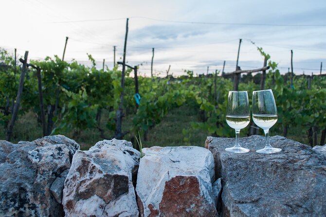 Wine Ostuni, Tour of an Apulian Winery With Traditional Lunch or Aperitivo - Maximum Number of Travelers