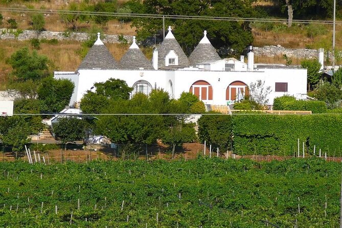 Wine Ostuni, Tour of an Apulian Winery With Traditional Lunch or Aperitivo - Dietary Restrictions and Limitations