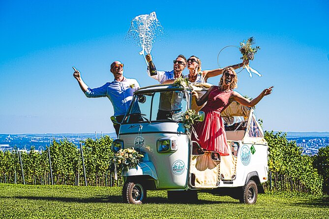 Wine Picnic Overlooking Vienna - Booking Information