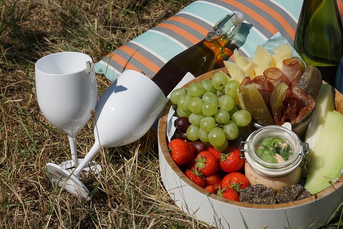 Wine Picnic Overlooking Vienna - Accessibility