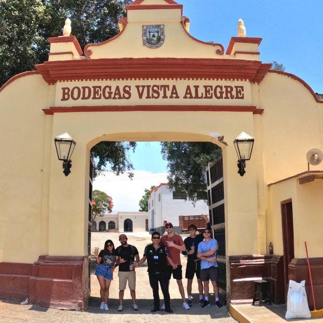 Wine, Pisco and Dune Buggy Experience - Customer Feedback