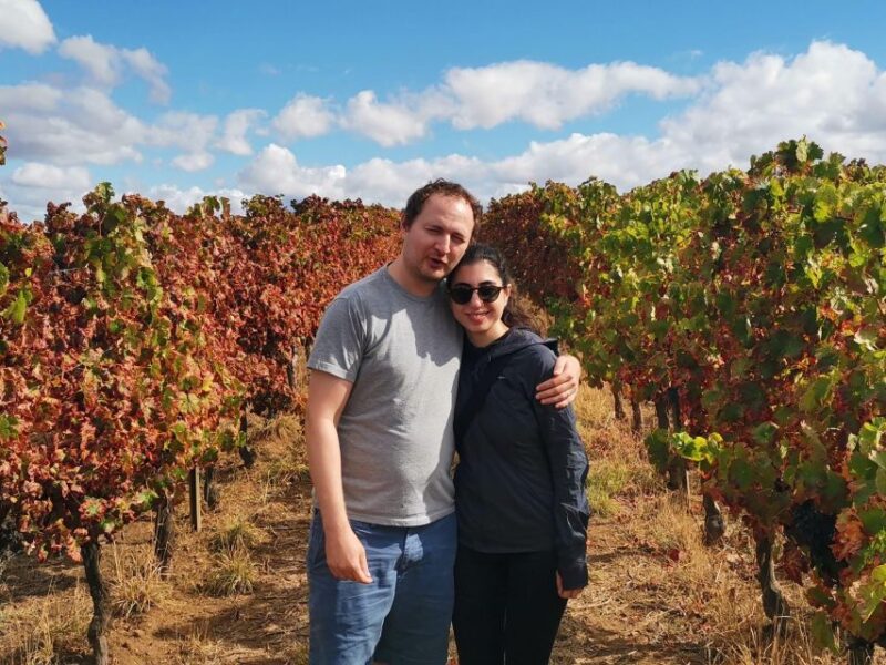 Wine , Roman Temple and Bone Chapel in Half-Day Private Tour - Itinerary Highlights