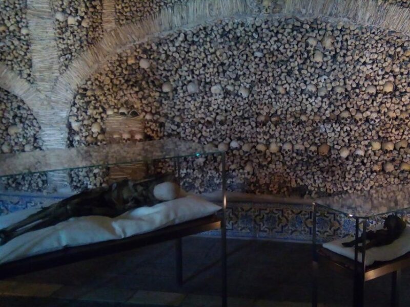 Wine , Roman Temple and Bone Chapel in Half-Day Private Tour - Winery Visit