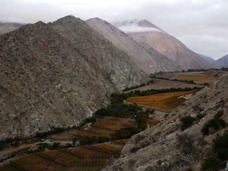 Wine Route Origins of Southamerican Wine and Pisco - Key Points