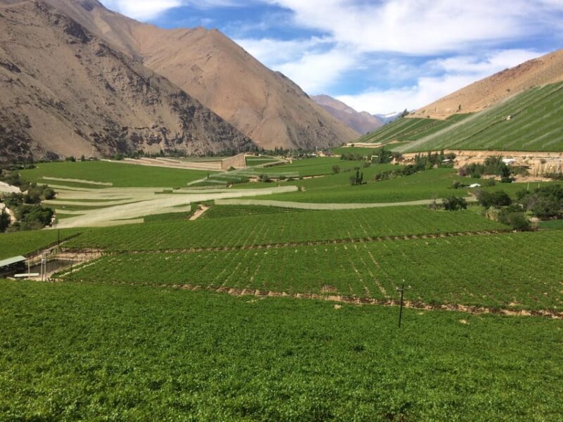 Wine Route Origins of Southamerican Wine and Pisco - Inclusions and Amenities