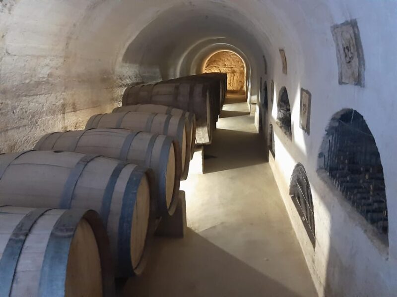 Wine Route Origins of Southamerican Wine and Pisco - Origins of Chilean and Argentinean Wines